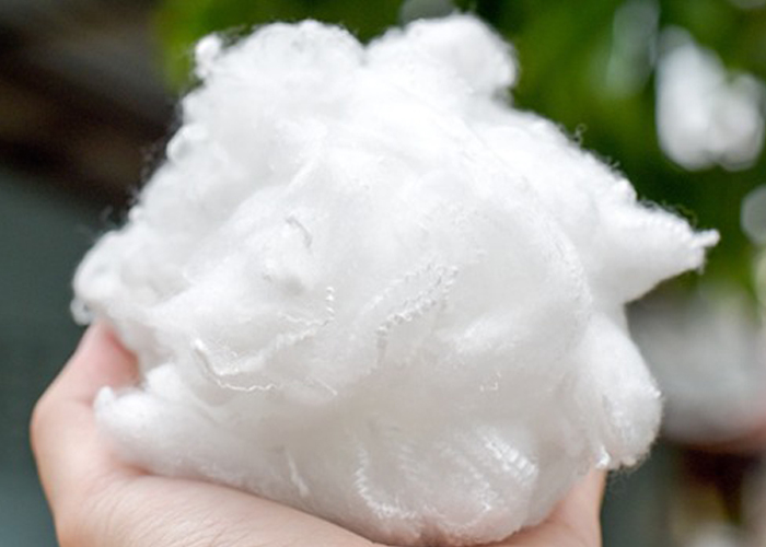 Polyester fibers